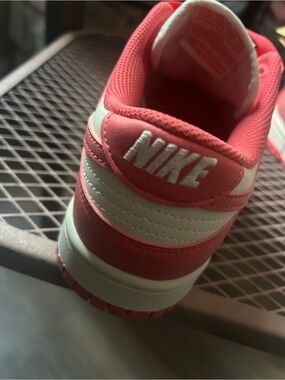Nike Sneakers (NEW)